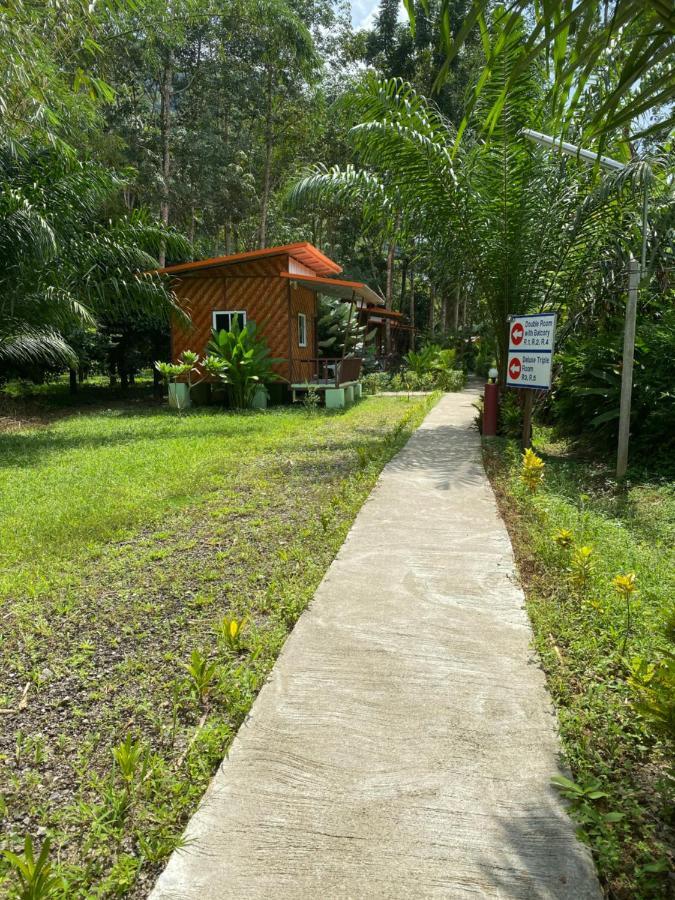 Khaosok Bamboo Huts Resort Khao Sok National Park Extérieur photo